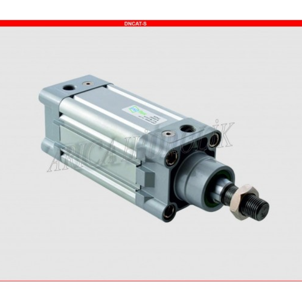 dncat-s-donmez-milli-