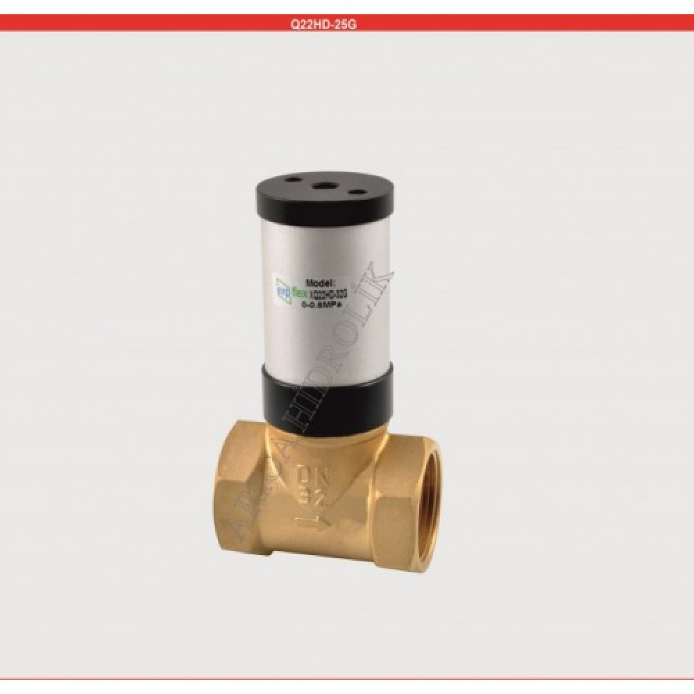 q22hd-25g-1--
