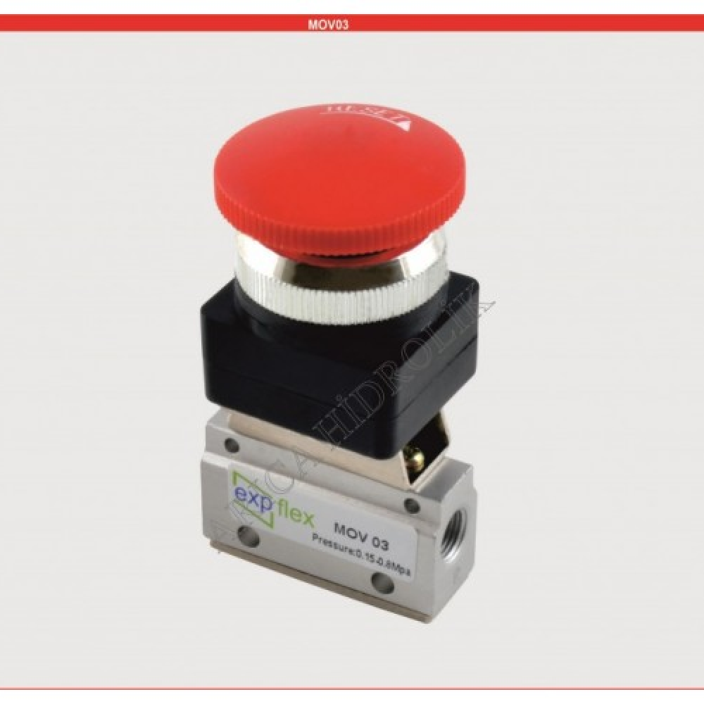 mov-03-1-8---2-2-mantar-yay-stopn-n-k