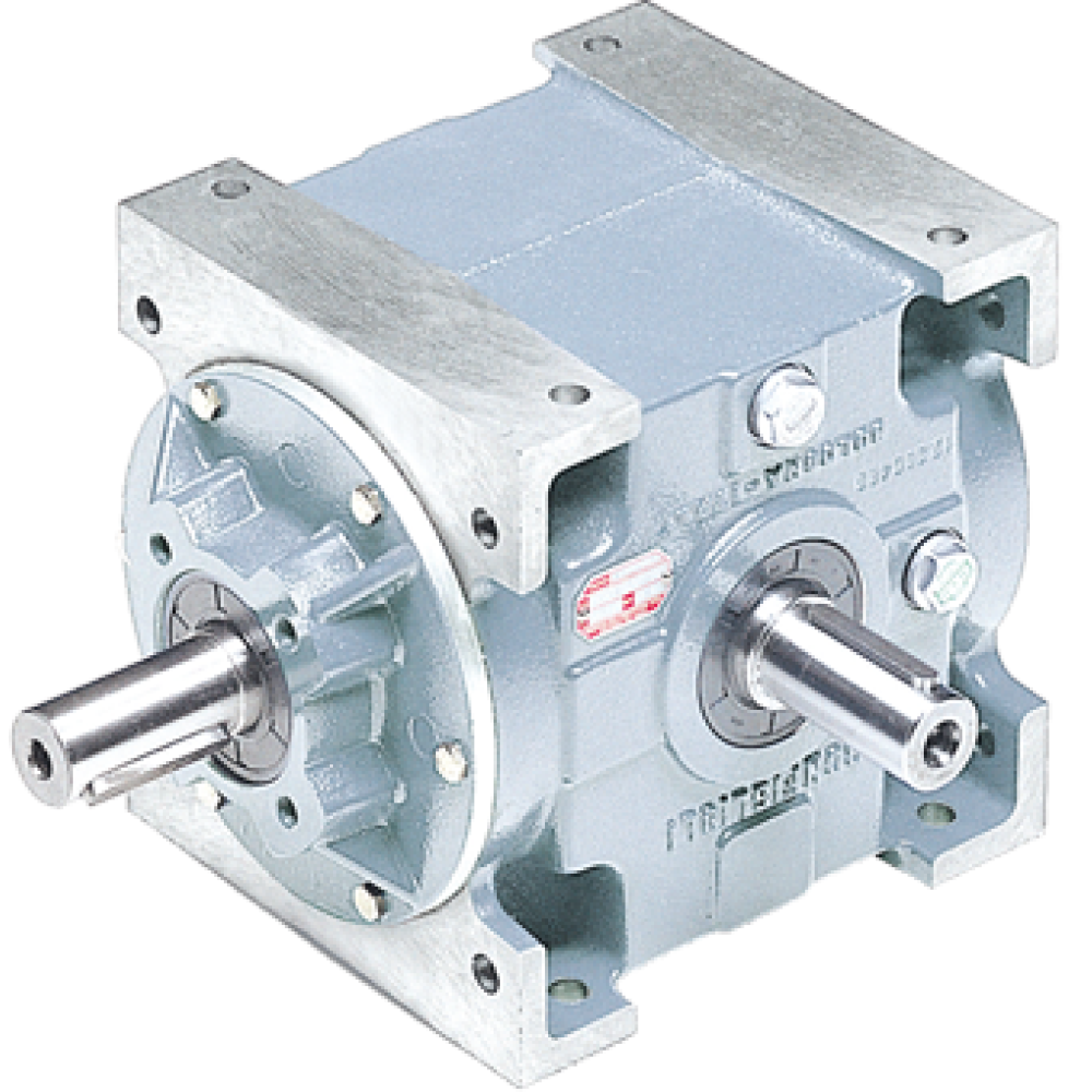 ran-–-konik-disliler